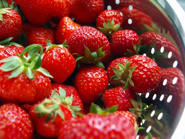 Beautiful English strawberries